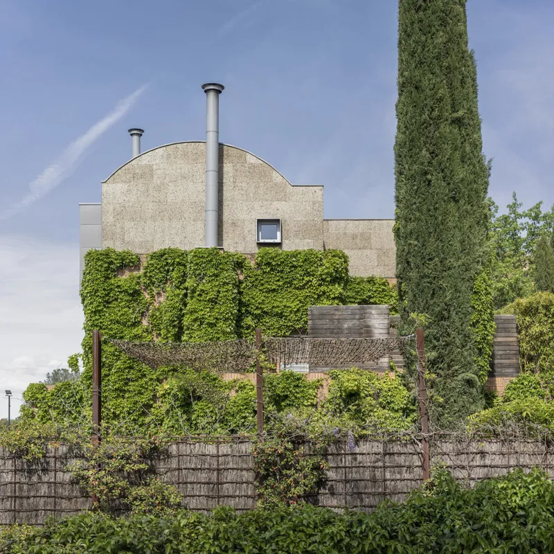 Rear elevation with curved vault roof, twin metal flues, and layered ivy-clad terraces above gabion wall