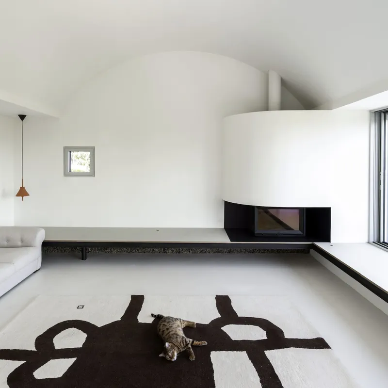 Living room with curved white walls, recessed fireplace, and cat resting on a graphic patterned rug