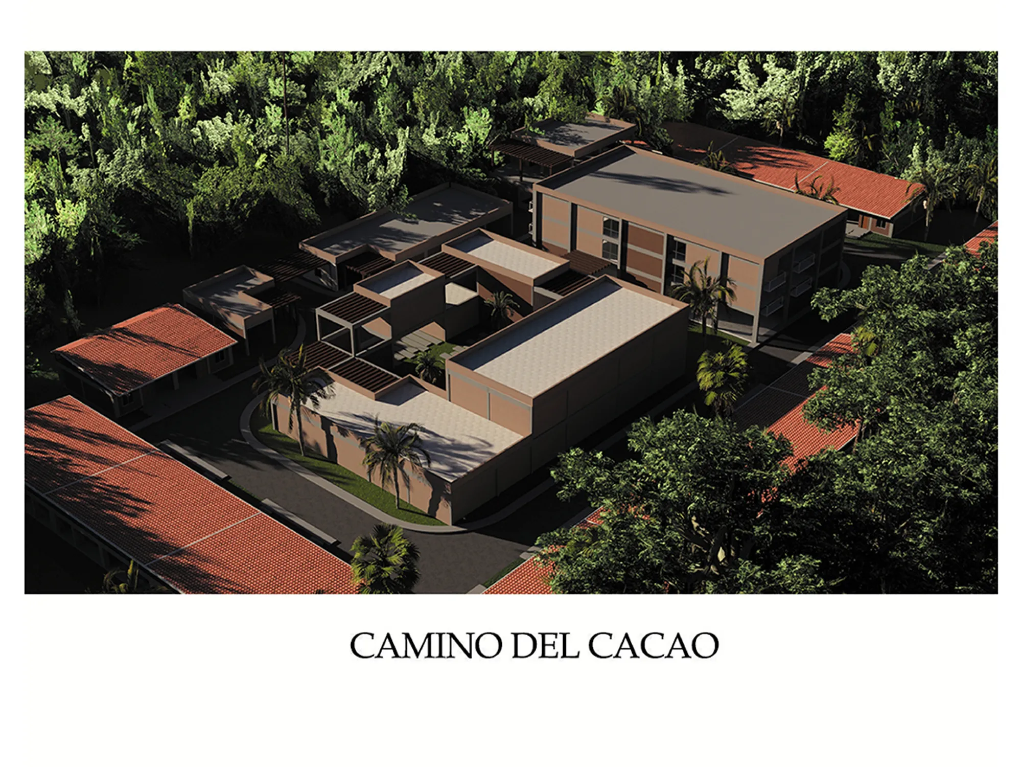 CAMINO DEL CACAO