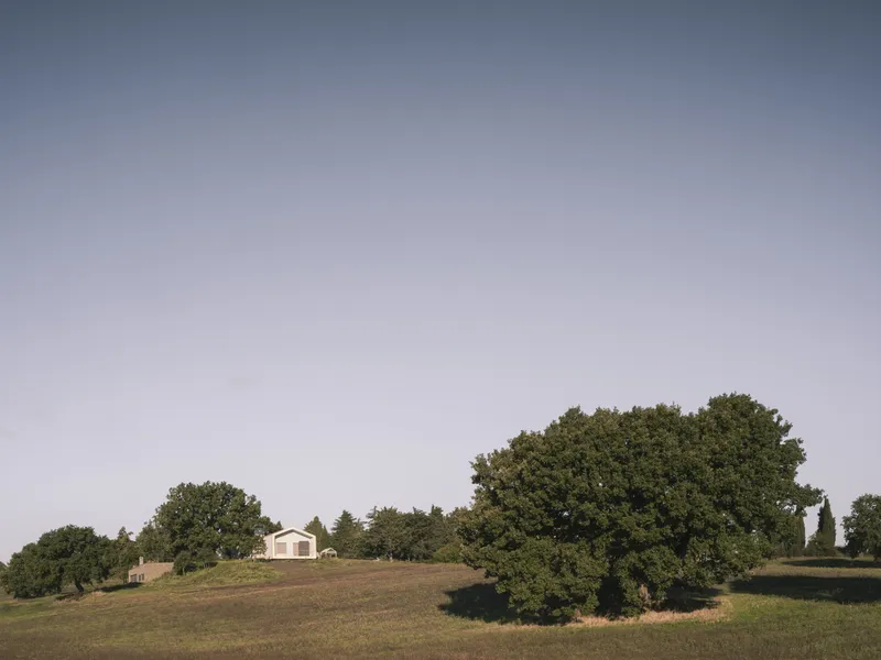 Distant view of a white gabled structure atop a grassy hillside with mature oak trees