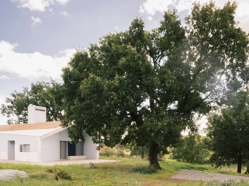 White rendered volume with terracotta roof beneath a large oak tree in afternoon light