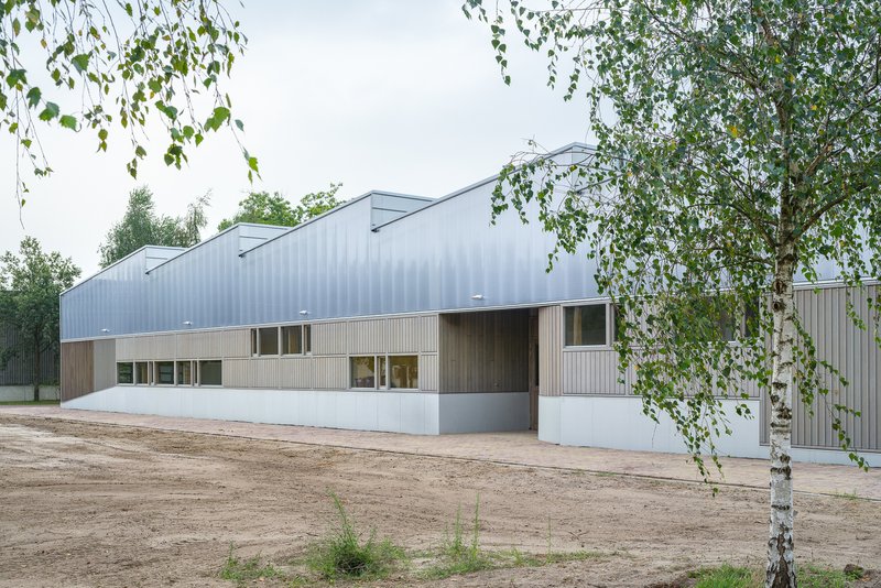 Long facade view with birch trees in foreground and stepped roof monitors rising above