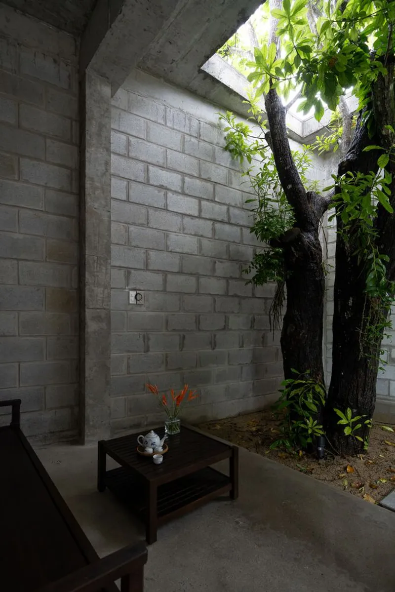 Interior corner with concrete block walls and skylight illuminating a tree trunk beside a low table