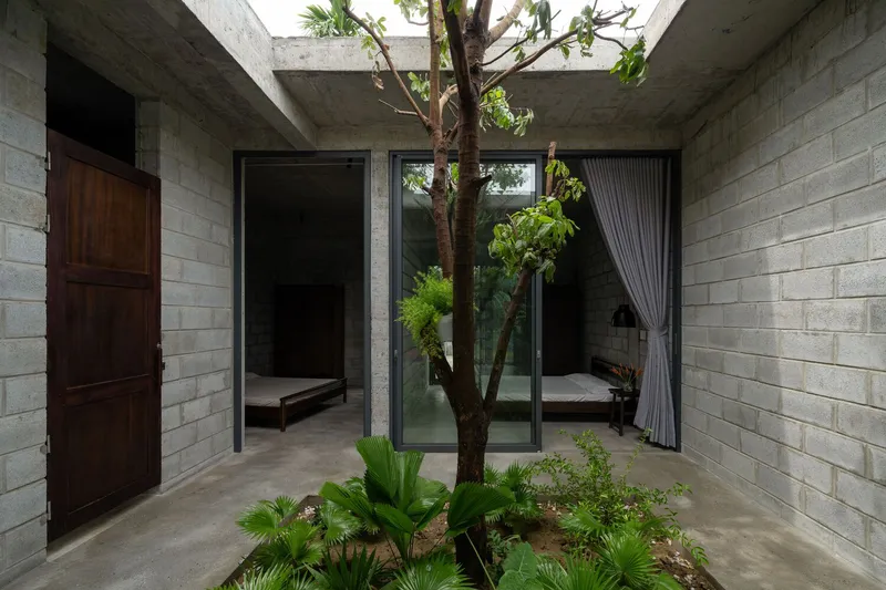 Interior courtyard with concrete block walls, timber door, and mature tree surrounded by planted beds