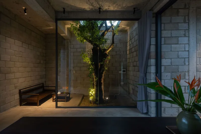 Interior courtyard with concrete block walls and preserved tree lit by uplights at dusk