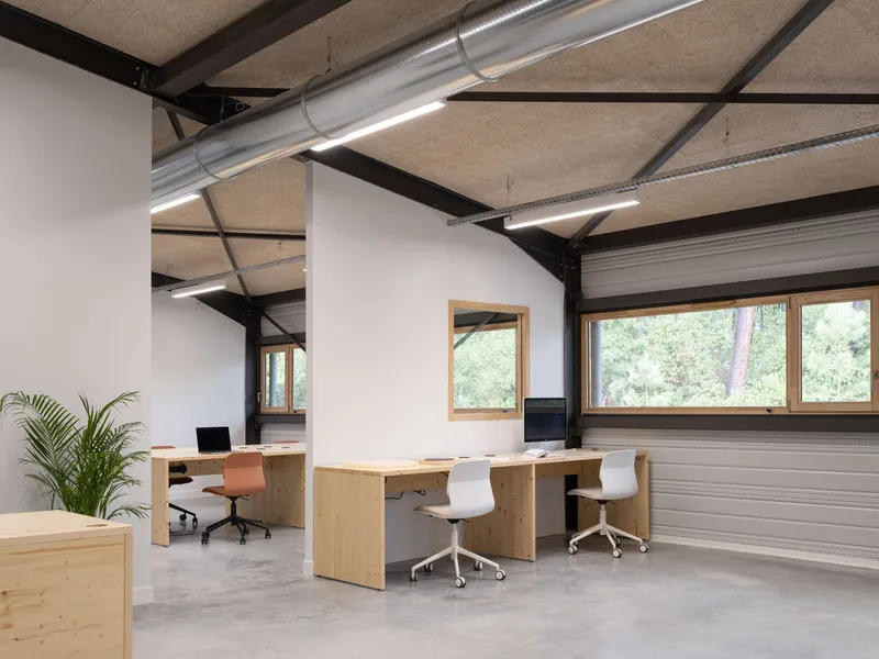 Office space with plywood desks under exposed black steel beams and timber-framed windows overlooking trees