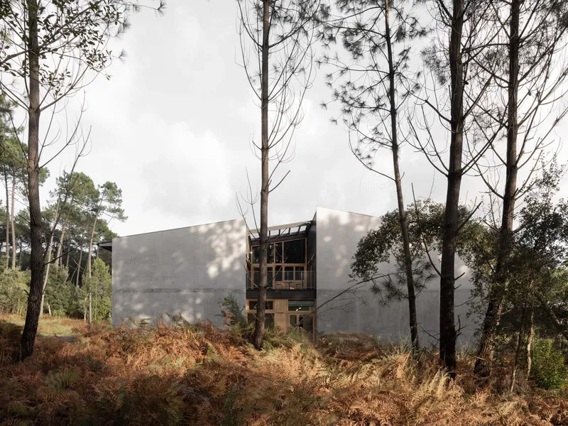 Concrete volume with timber-framed windows emerging from a pine forest with rust-colored undergrowth