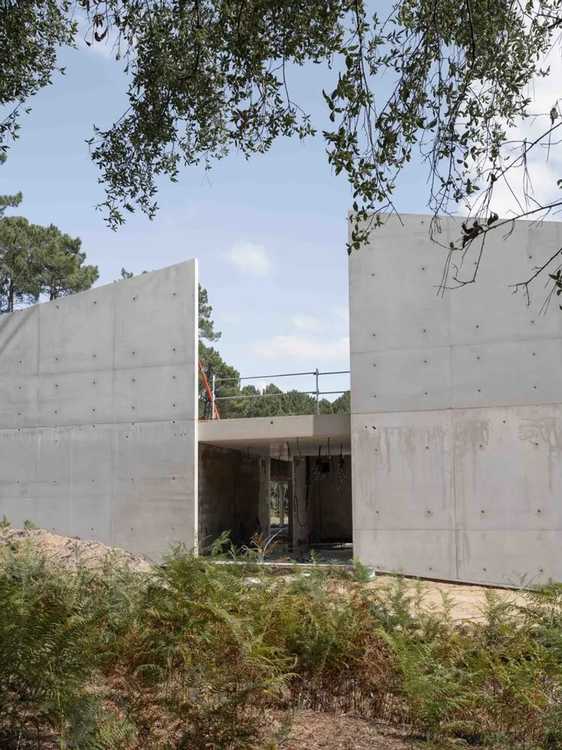 Entrance framed by two tall concrete walls with overhanging tree branches above