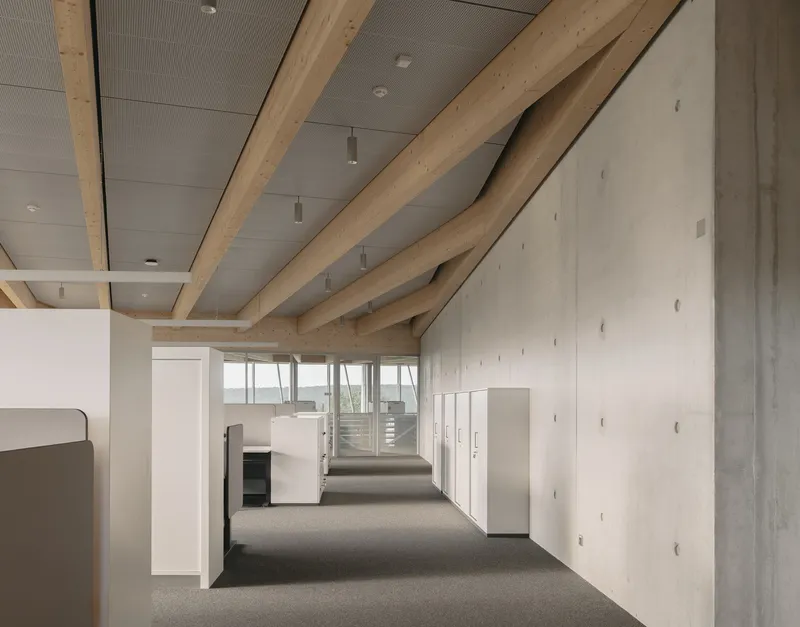 Diagonal timber beams spanning across concrete walls and perforated ceiling in carpeted office corridor