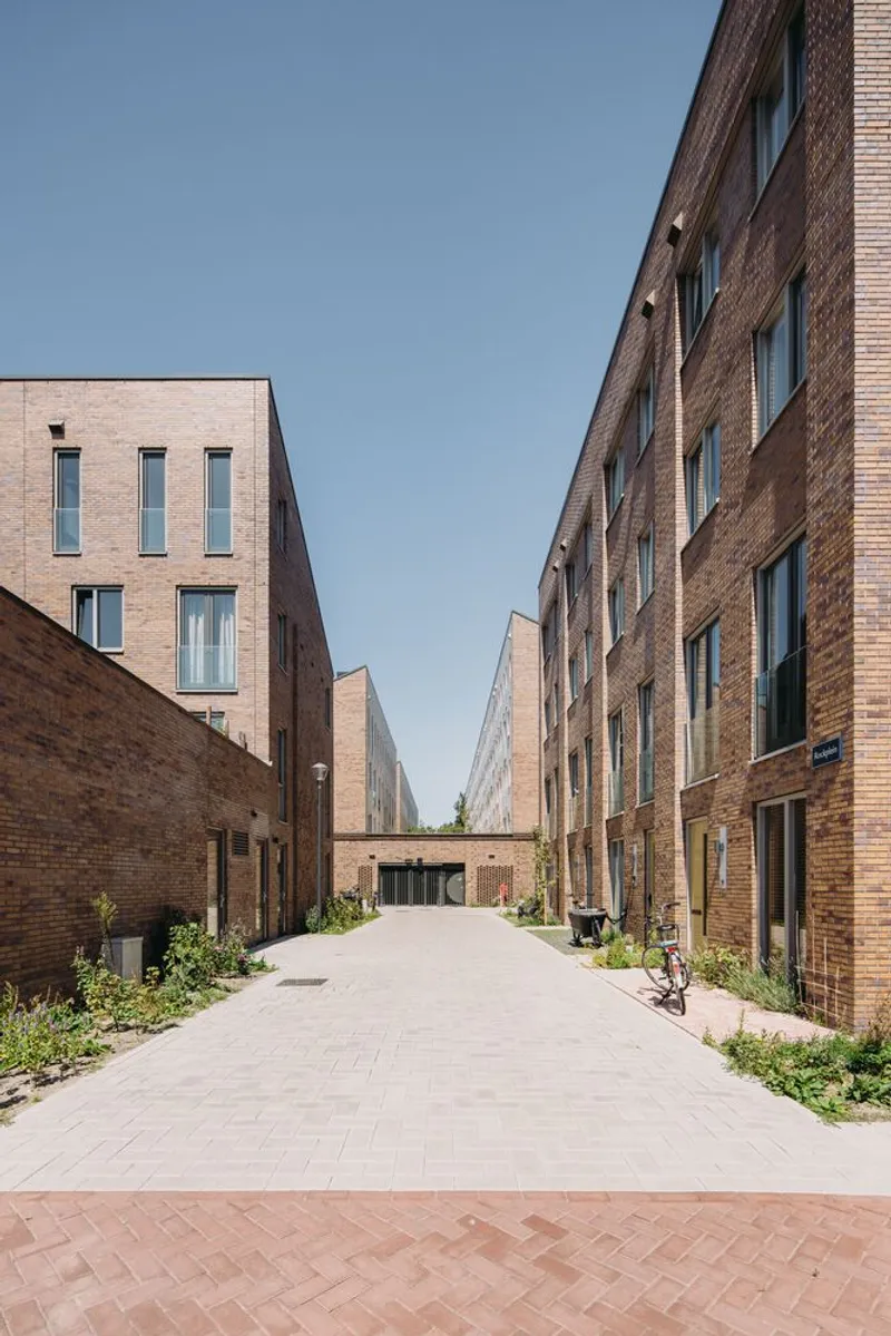 Paved courtyard lane between brick housing blocks with young trees and planted borders