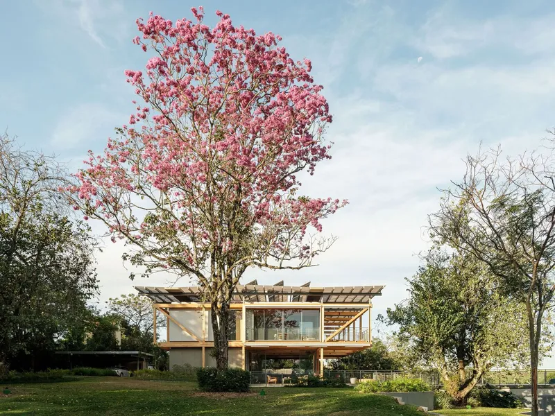 Two-story timber-framed volume with glazed walls and pergola roof beneath a blooming pink tree