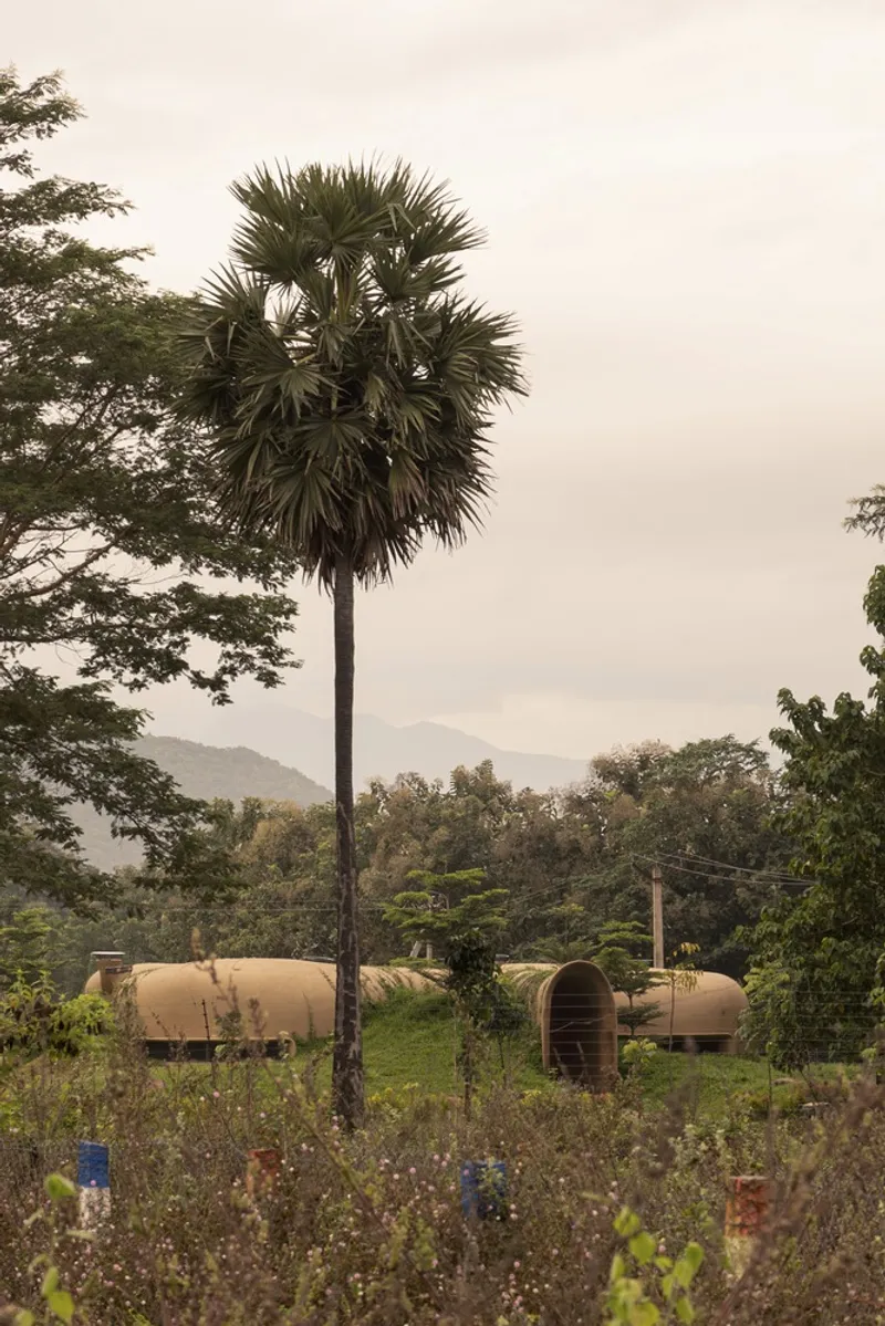 Distant view: earth-coloured lobes among palm trees, palmyra palm in foreground, garden, mountains beyond