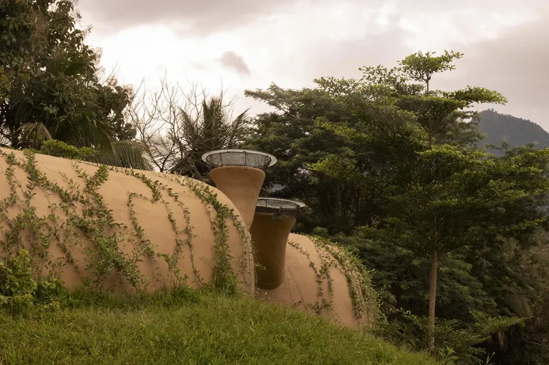 Earthen wall and chimney exterior: climbing vines on the curved wall, funnel vent, overcast, trees