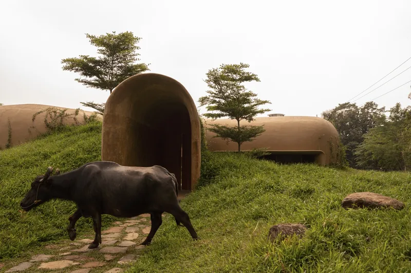 Buffalo passing: animal walking along the stone path by the arched entry, grass mounds, trees, hazy sky