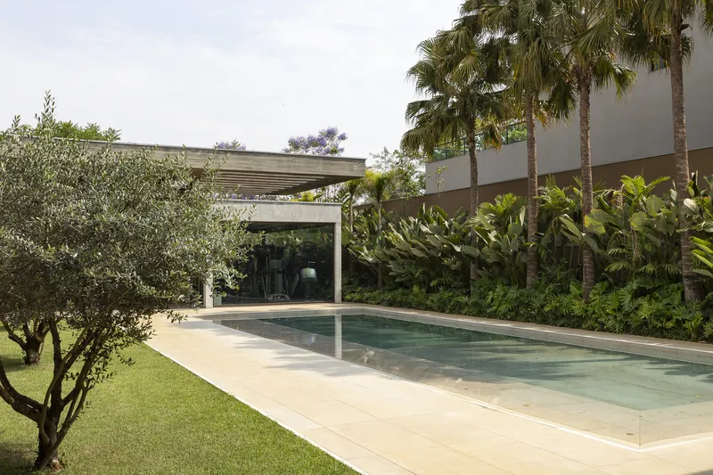 Pool terrace view with olive tree on lawn and palms rising above rendered garden walls
