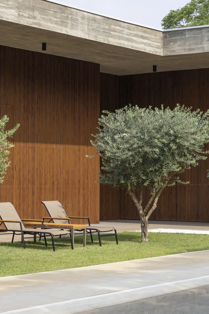 Courtyard with vertical timber cladding, exposed concrete soffit, and olive tree in grass