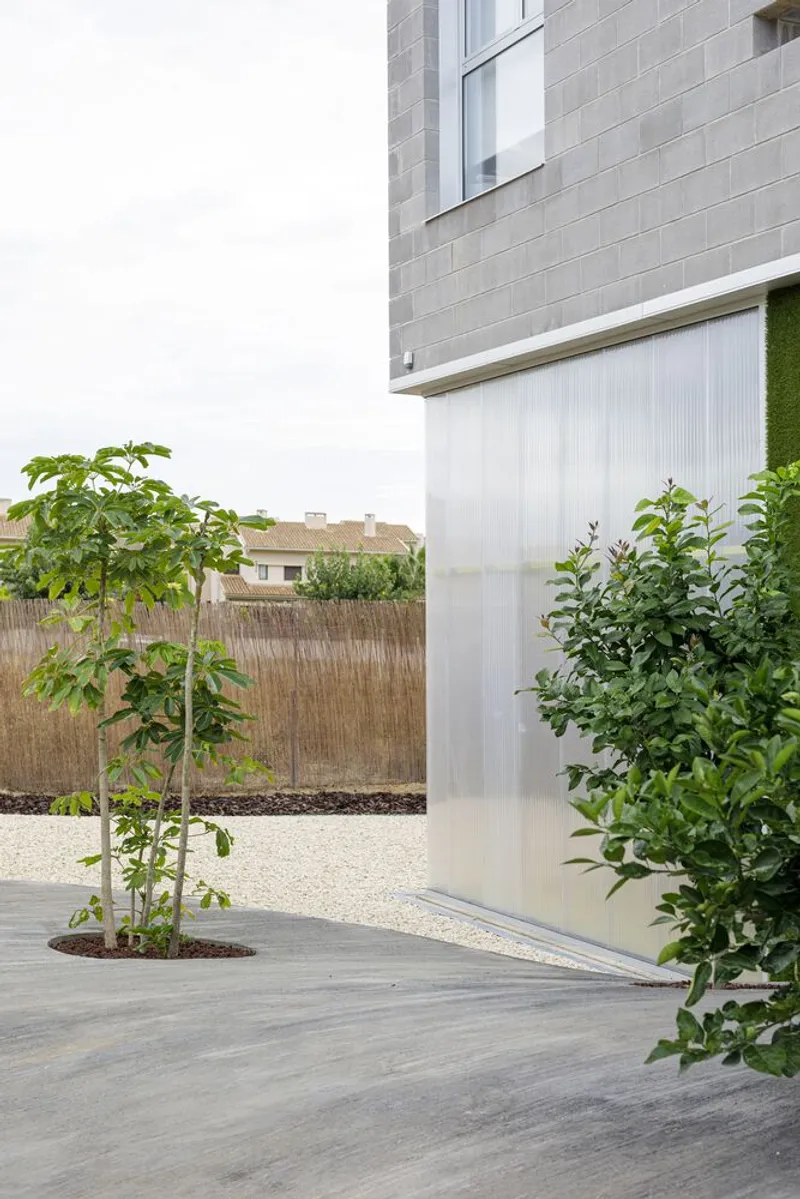 Young trees planted in a gravel courtyard beside concrete block walls and translucent paneling