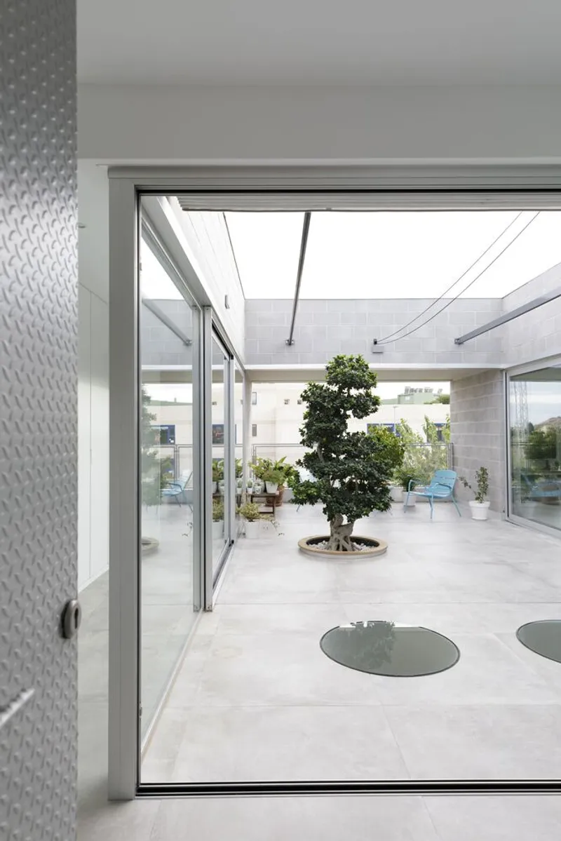 View through aluminum-framed glass doors to courtyard with single tree and circular floor inserts under canopy