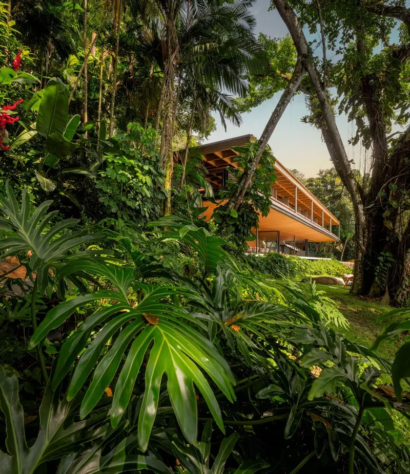Timber-framed structure with exposed rafters nestled among palms and tropical foliage in evening light