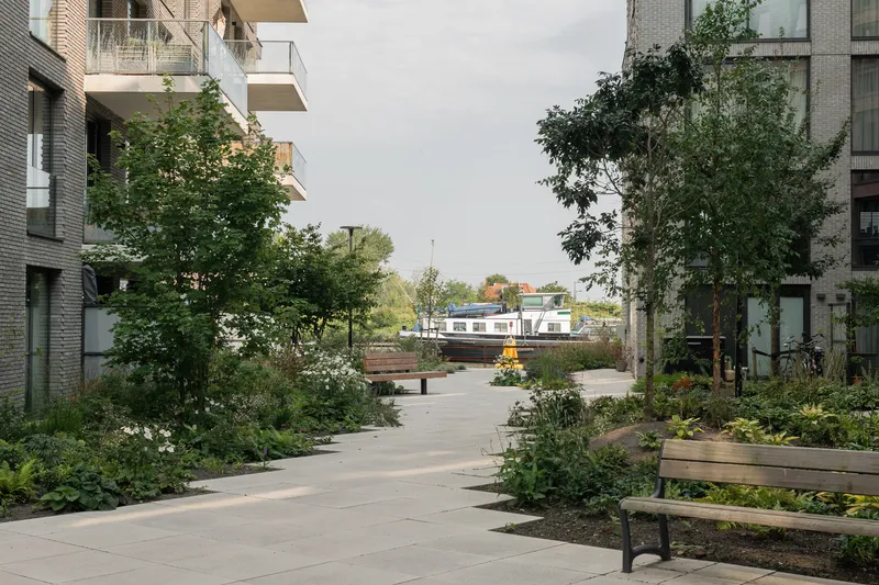 Shared courtyard with planted beds and timber benches between residential buildings under an overcast sky