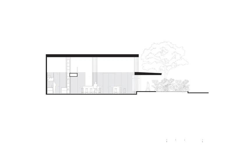 Section drawing showing interior spaces with double-height volumes and adjacent trees