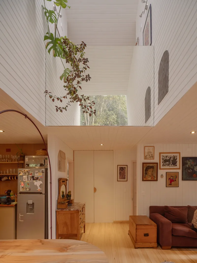Double-height void with pale wood paneling and climbing plant trailing from upper window