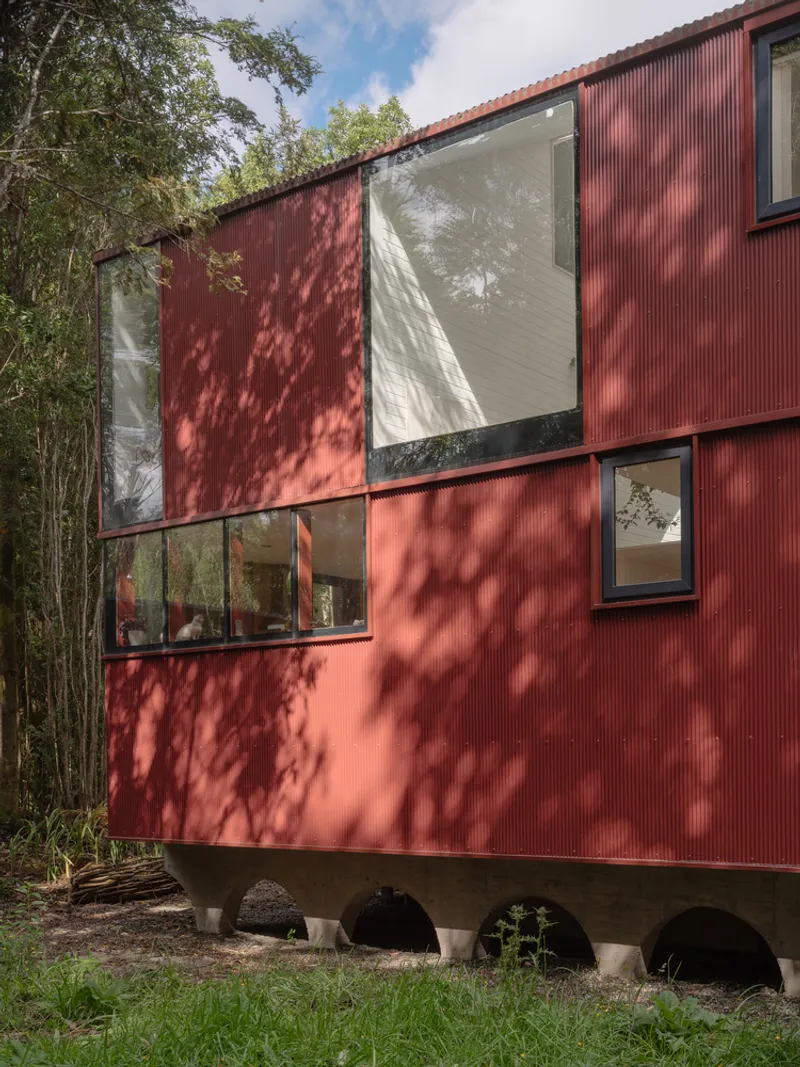 Dappled tree shadows falling across the red corrugated facade with ribbon window and corner glazing