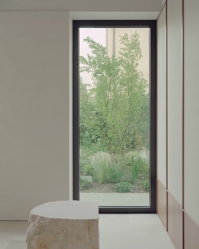 Tall black-framed window overlooking a planted courtyard with birch trees and ornamental grasses