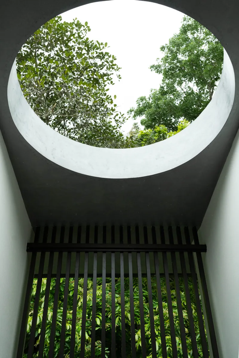 Upward view through circular skylight above vertical metal screen with tree canopy visible beyond white concrete rim