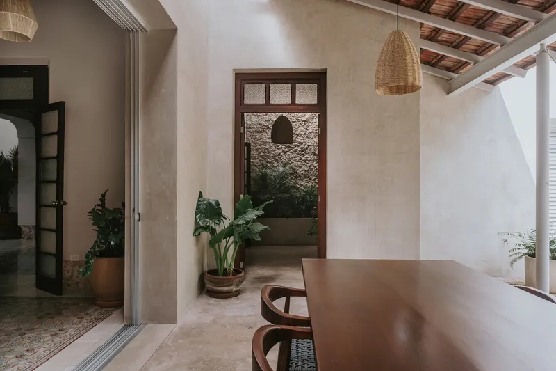 Interior corridor with rendered walls, timber door with transom window, and potted plants in terracotta pots
