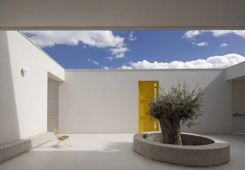 Open courtyard with circular concrete planter holding an olive tree and yellow door visible beyond