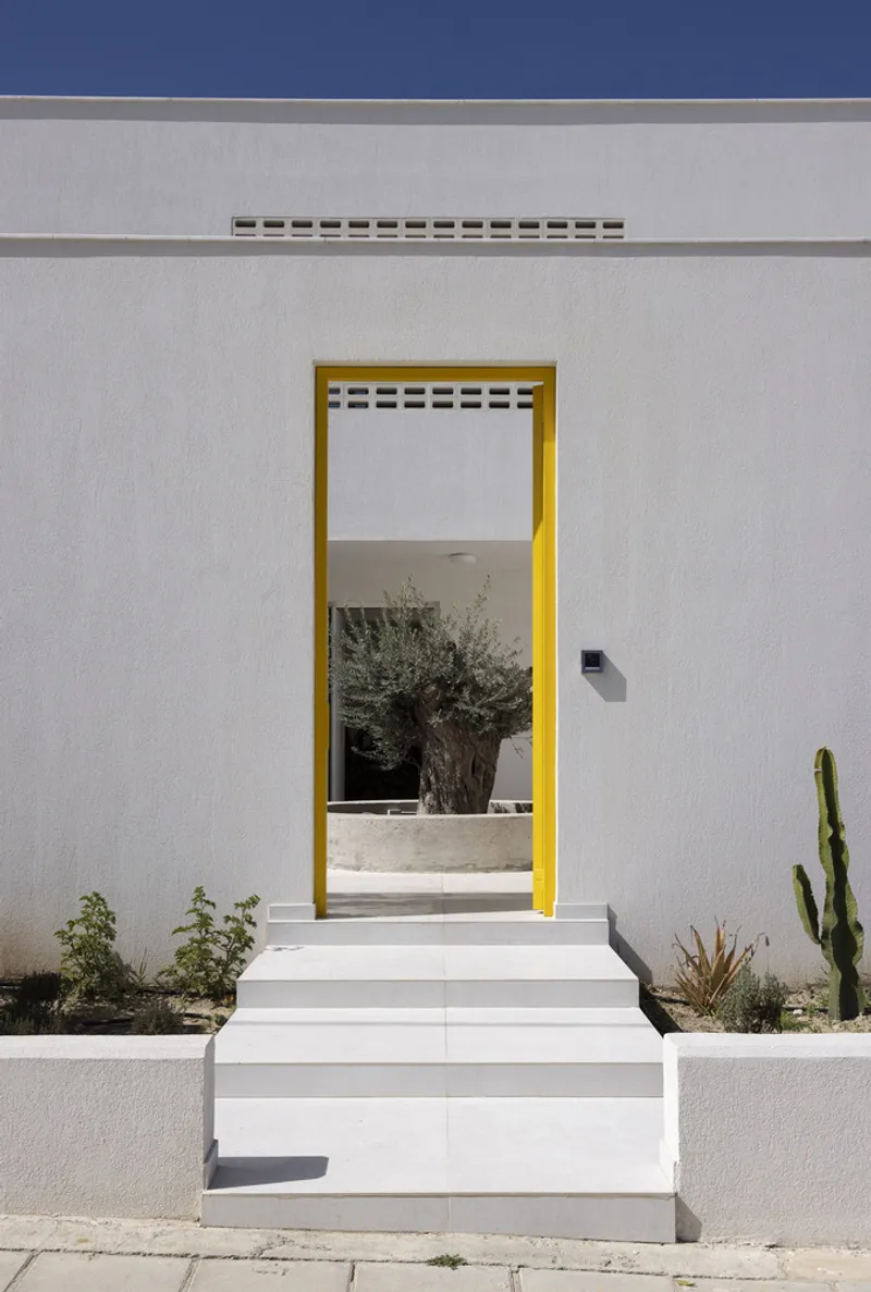 Entry door with yellow frame and concrete steps leading to a planted courtyard with olive tree