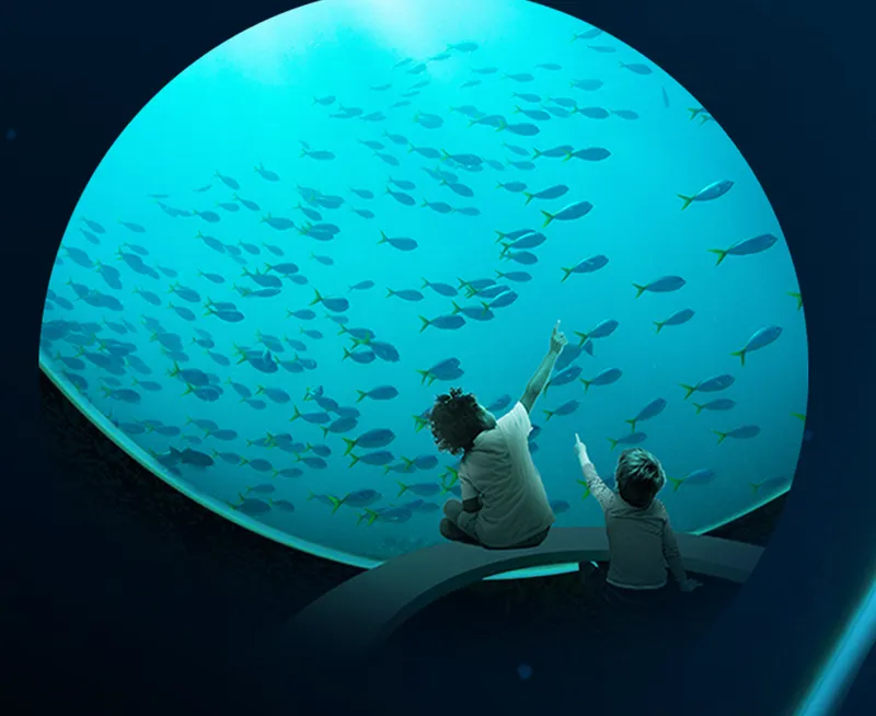 Interior view through a circular acrylic window framing two visitors and swimming fish overhead