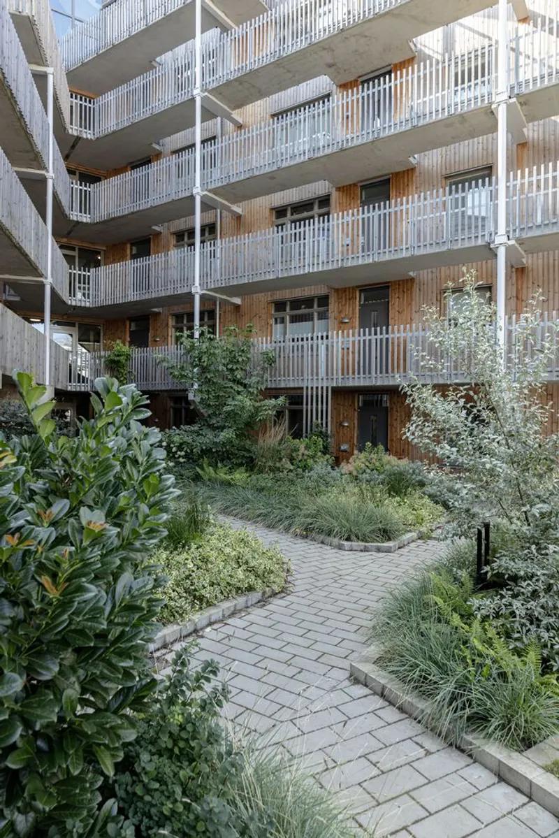 Paved pathway through lush courtyard garden with grasses and shrubs beneath concrete and timber balcony facades