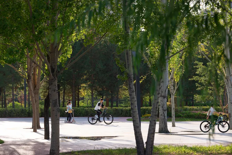 Tree-lined paved path with cyclists and pedestrians filtering through dappled afternoon sunlight