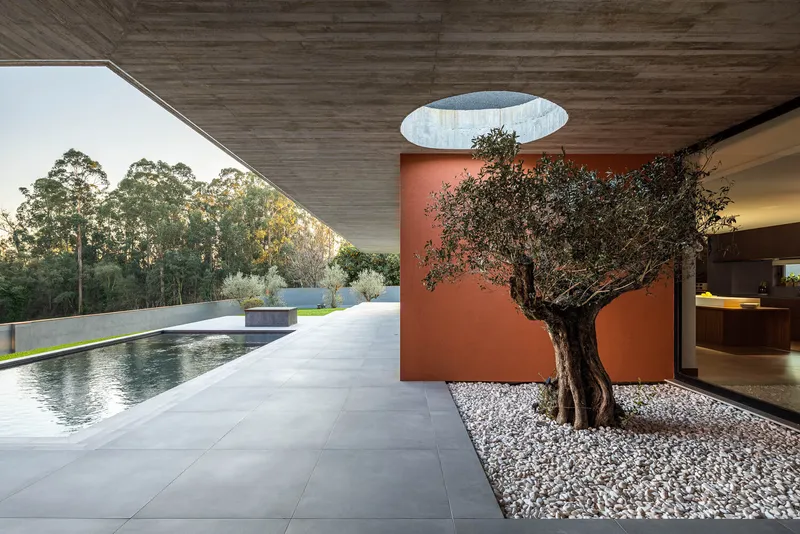 Covered terrace with olive tree, circular skylight, and reflecting pool overlooking wooded hillside at dusk