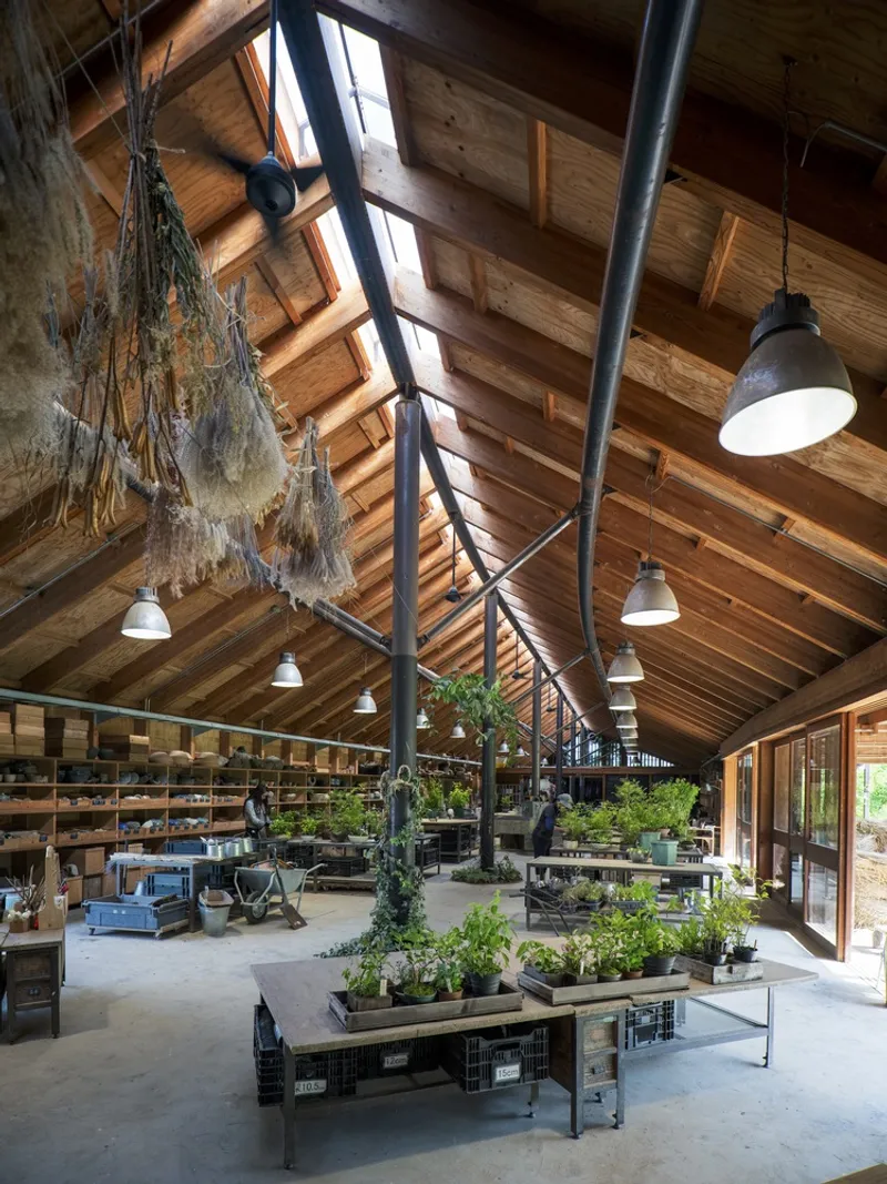 Gabled interior with exposed timber rafters, skylights, steel columns and potted plants on display tables