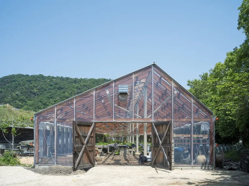 Transparent gabled greenhouse with timber frame and diagonal cross bracing under a clear sky