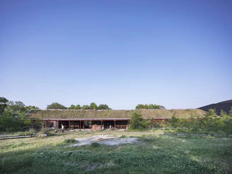 Side elevation of the planted roof structure with wildflowers in the foreground meadow