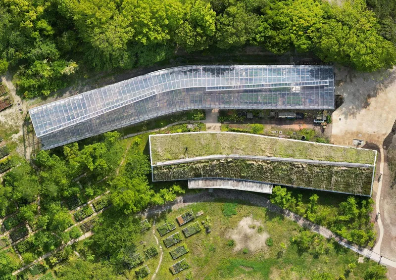 Aerial view of two curved volumes with glass and green roofs nestled within dense tree canopy