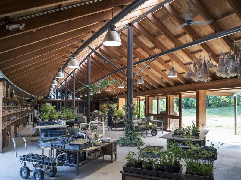 Long view of the nursery interior showing steel columns, pendant lights and rows of potted plants