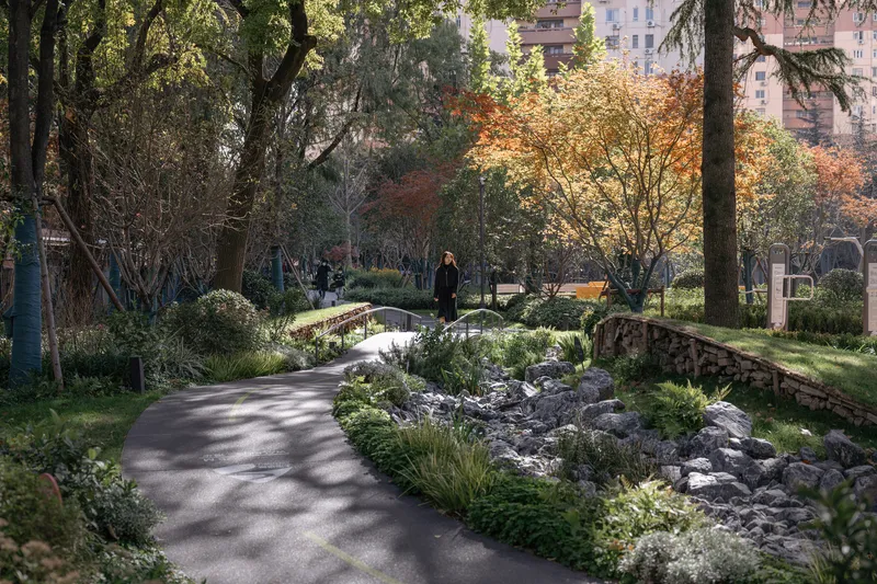 Meandering pathway through rockery and native plantings under autumn foliage and dappled light