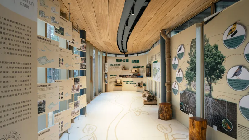 Exhibition gallery with curved timber ceiling panels, informational display walls and embedded floor graphics