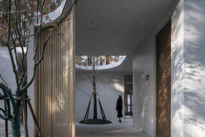 Covered entrance passage with vertical wooden screen wall and circular skylight framing a courtyard tree