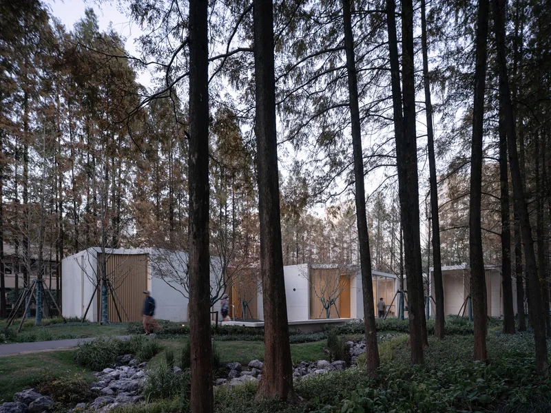 Cluster of white volumes with wooden screen panels set among tall pine trees at dusk