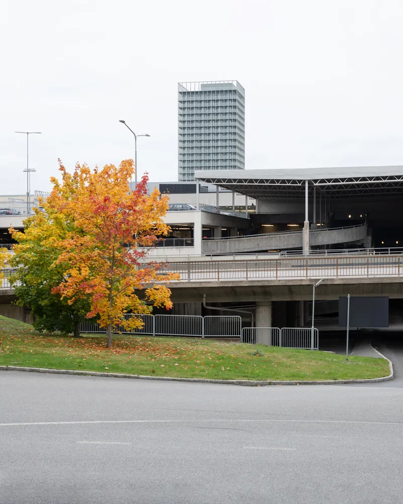 Concrete parking structure with multiple levels beneath a tower and a maple tree with yellow autumn leaves