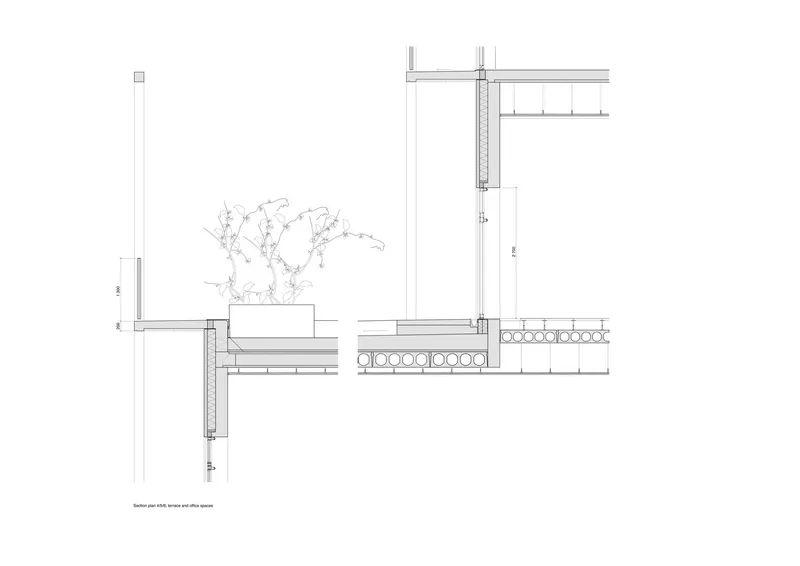 Section drawing showing wall construction with cantilevered planter box and a planted tree