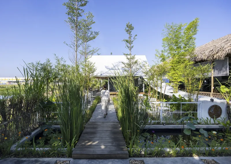 Timber boardwalk through dense bamboo and planted beds leading to a low white pavilion