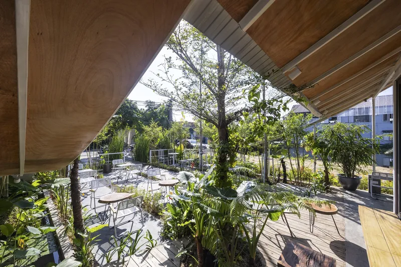 Covered terrace with plywood ceiling panels overlooking seating area among potted palms and grasses