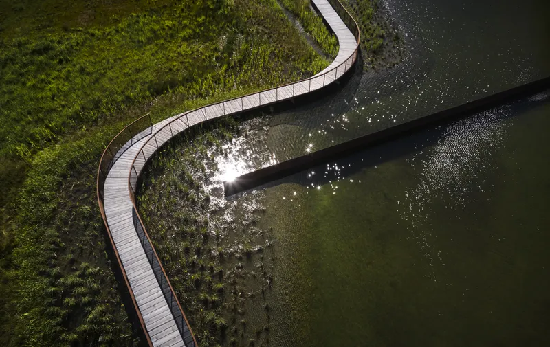 Aerial view of the timber boardwalk curving alongside a planted wetland and dark water channel